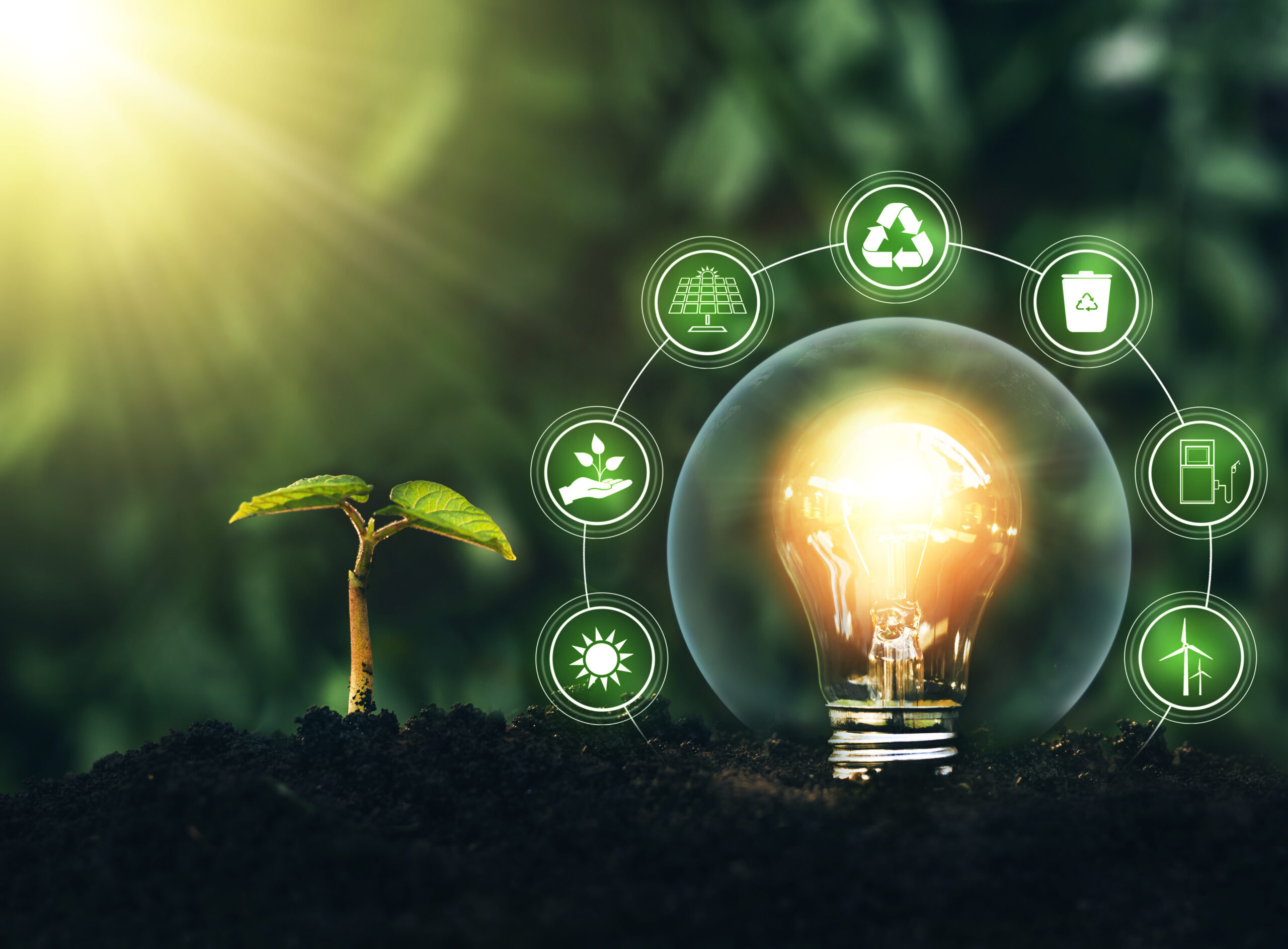 Why Eco-Friendly Hosting Matters: How R-Freshd Builds a Greener Web